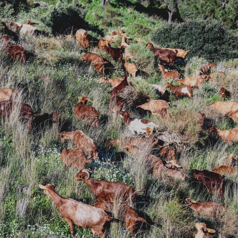 Finca La Estrella de Cómpeta - Casa de 3 dormitorios - 32