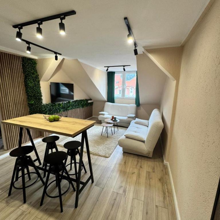 SA CITYCENTER Apartments - Superior Apartman sa 1 Spavaćom Sobom - 4