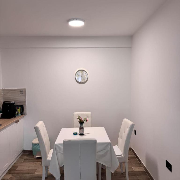 Vrnjačka Banja - Tirkiz - Apartman sa 1 Spavaćom Sobom - 17