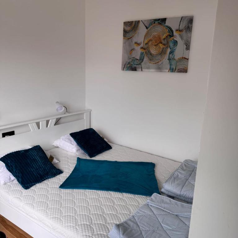 Vrnjačka Banja - Tirkiz - Apartman sa 1 Spavaćom Sobom - 3