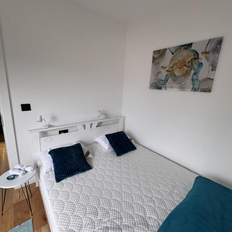 Vrnjačka Banja - Tirkiz - Apartman sa 1 Spavaćom Sobom - 5