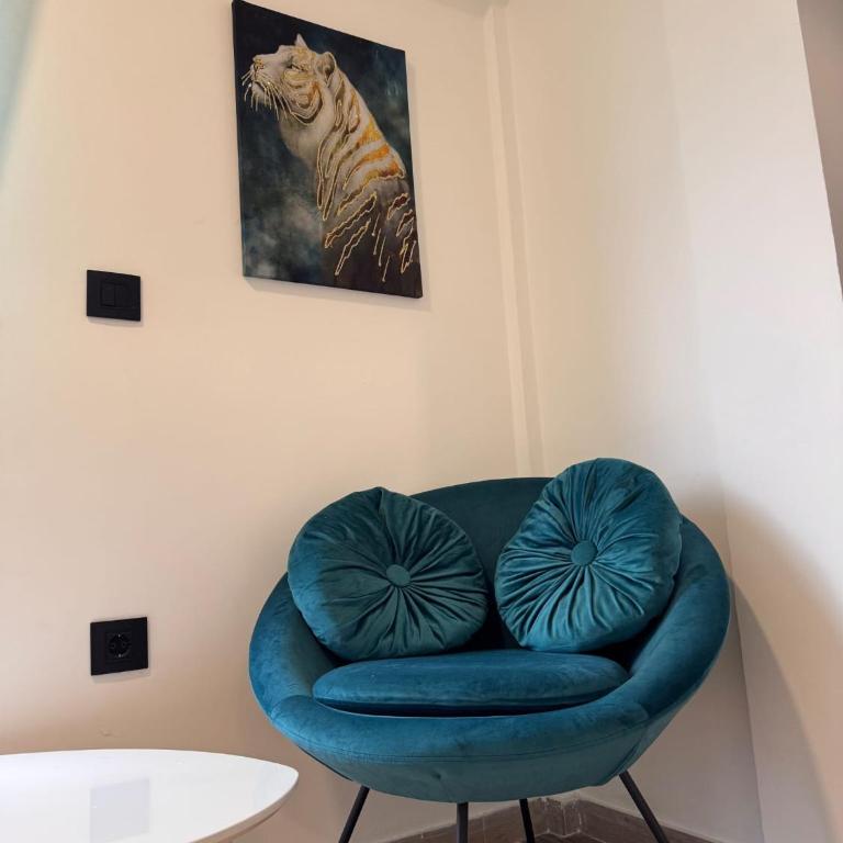 Vrnjačka Banja - Tirkiz - Apartman sa 1 Spavaćom Sobom - 10
