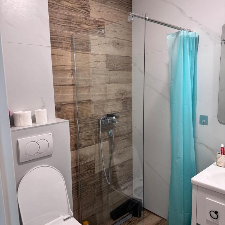 Vrnjačka Banja - Tirkiz - Apartman sa 1 Spavaćom Sobom - 20