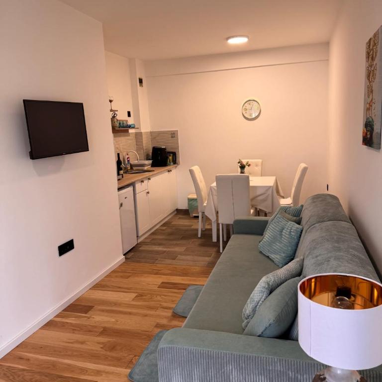 Vrnjačka Banja - Tirkiz - Apartman sa 1 Spavaćom Sobom - 15