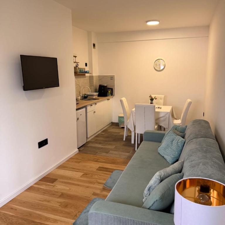 Vrnjačka Banja - Tirkiz - Apartman sa 1 Spavaćom Sobom - 16