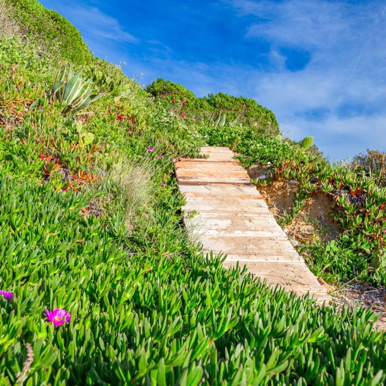 Montalbano House by Biddizzi Rari - Accesso diretto alla spiaggia, casa al mare - One-Bedroom House - 38