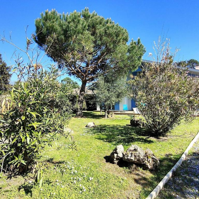 Villa rénovée avec jardin à Petit-Piquey - Proche Bassin et Océan, 3 chambres, 2 terrasses, Wi-Fi - Villa 3 Chambres - 19