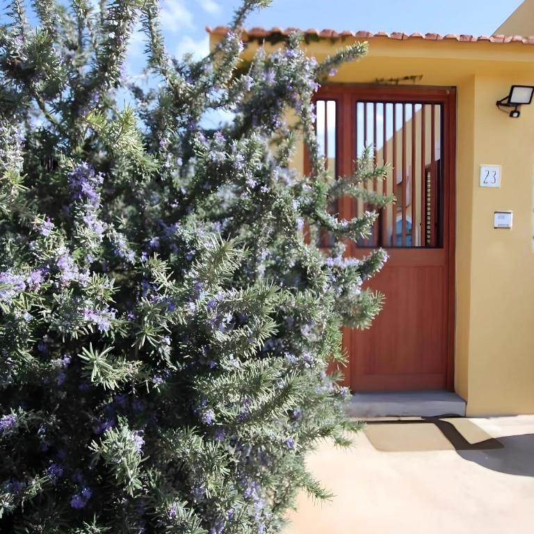 Casa Angela Lampedusa - Appartamento con 2 Camere da Letto - 1