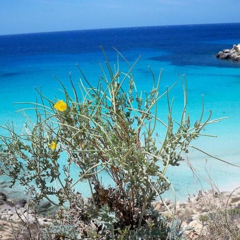Casa Angela Lampedusa - Appartamento con 2 Camere da Letto - 11