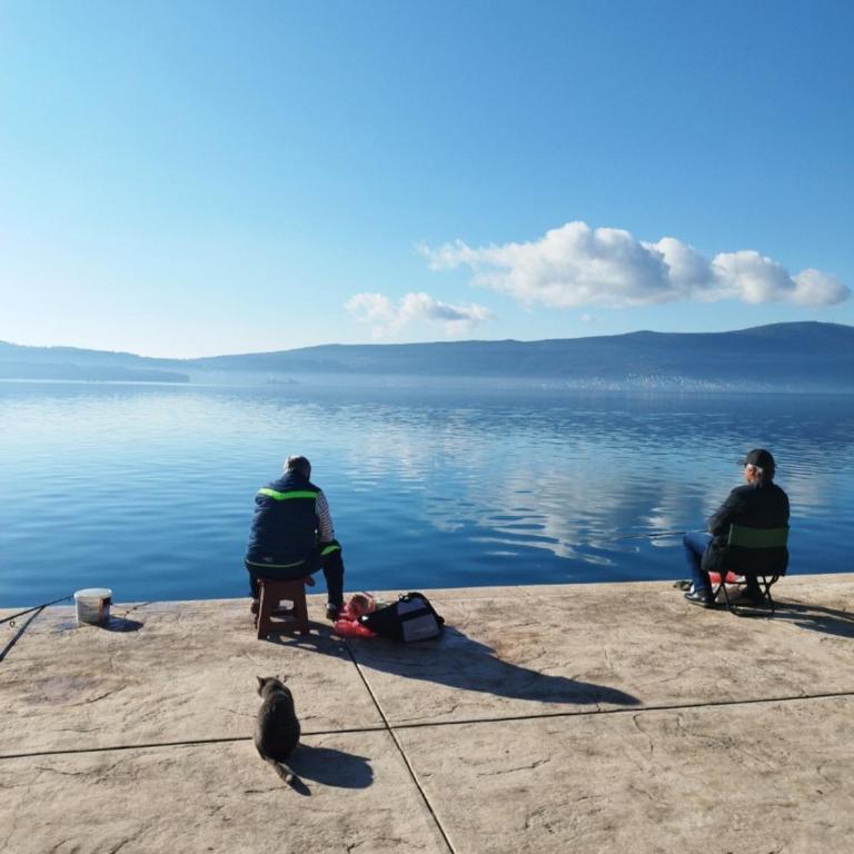 Valmere Apartment Tivat Sea View Free Parking - One-Bedroom Apartment - 67