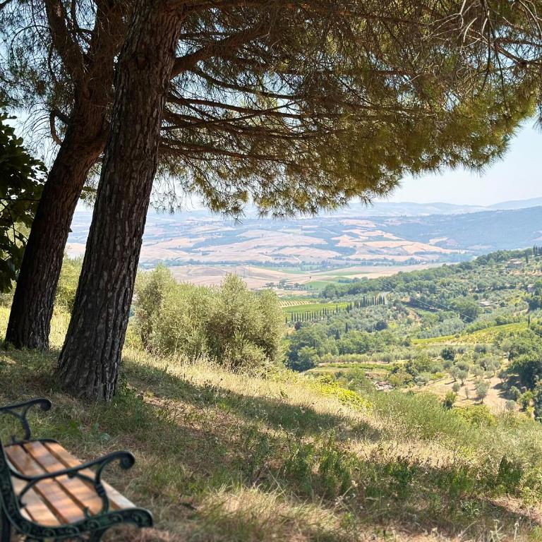 Nuovissimo Loft panoramico con giardino a Montalcino - Apartment mit 1 Schlafzimmer - 9