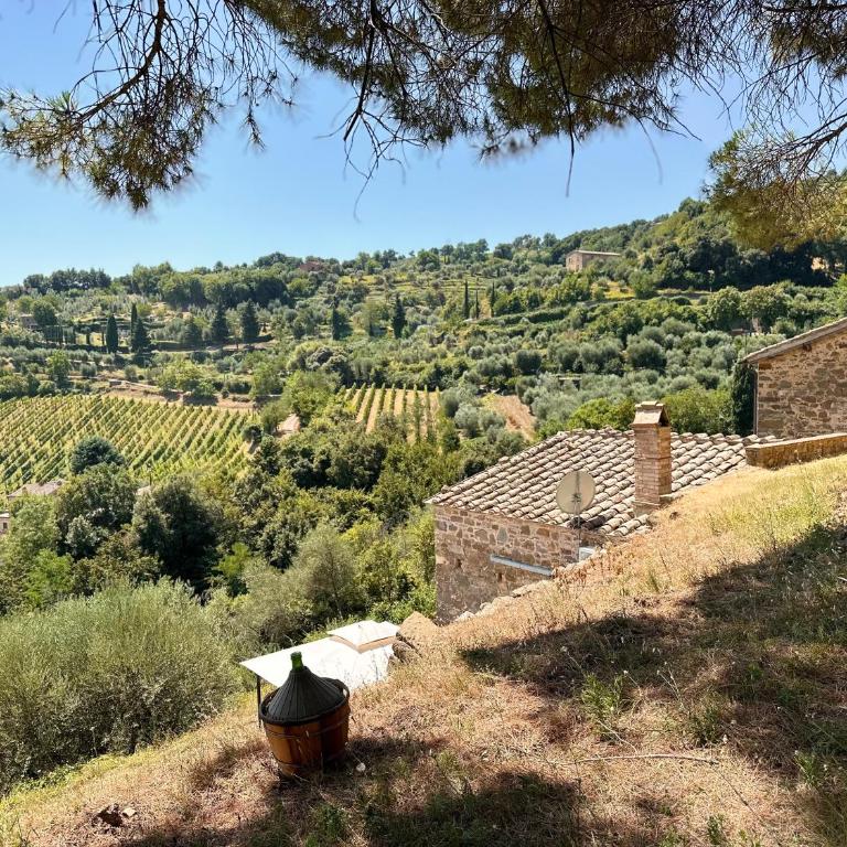 Nuovissimo Loft panoramico con giardino a Montalcino - Apartment mit 1 Schlafzimmer - 19