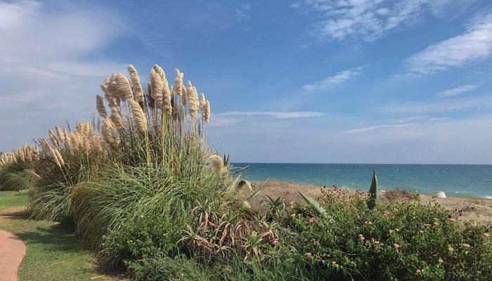 Three Bedroom Townhouse 100 meters from the Beach! - Casa de 3 dormitorios - 8
