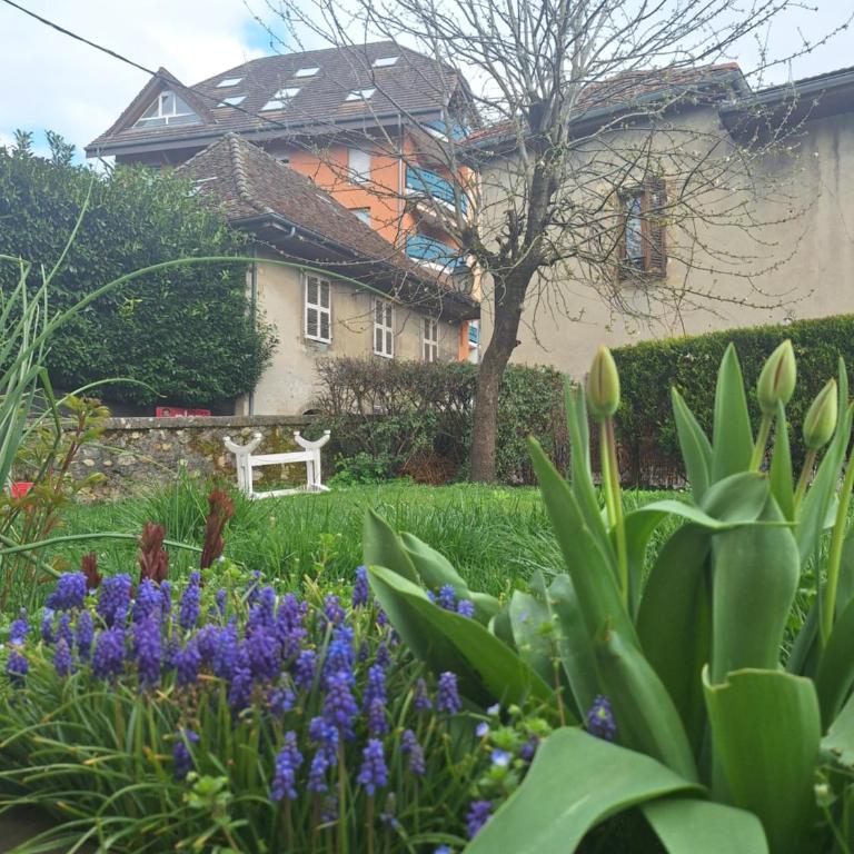 Chez Eric - L'Atypique - Appartement 2 Chambres - 25
