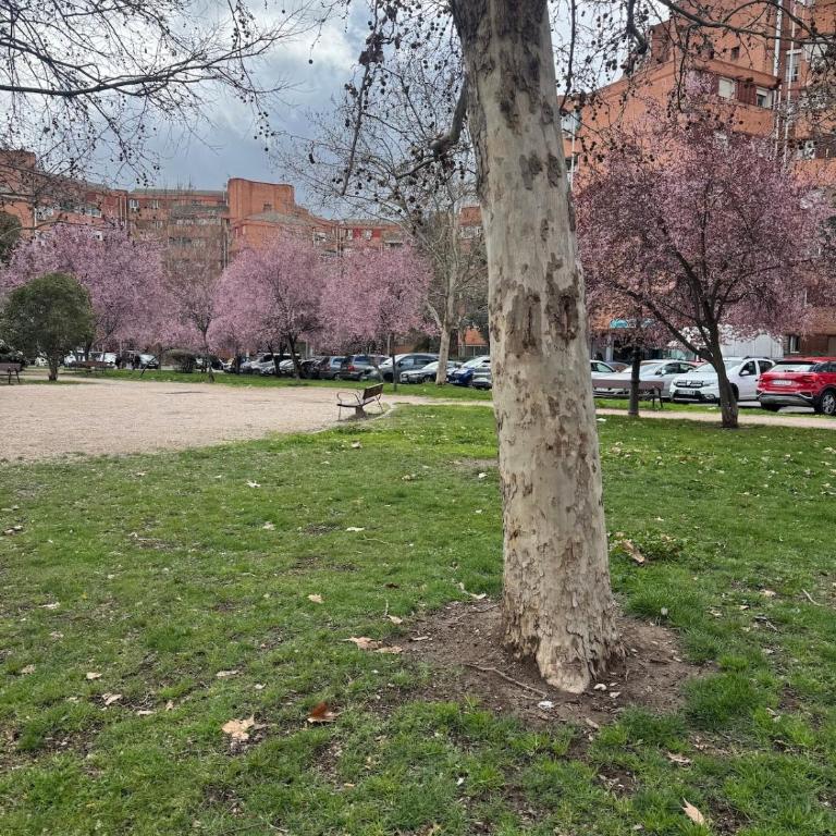 Apartamento cuatro habitaciones a 15 minutos del centro de Madrid - Apartment - 33