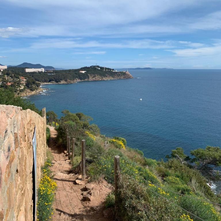 Studio calme 4 personnes 600 m de la plage sur la presqu'île de St mandrier proche toulon - Apartamento de 1 dormitorio - 26