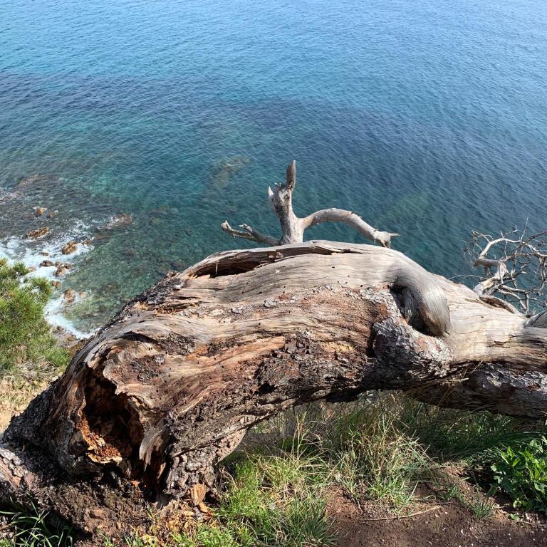 Studio calme 4 personnes 600 m de la plage sur la presqu'île de St mandrier proche toulon - Apartamento de 1 dormitorio - 27