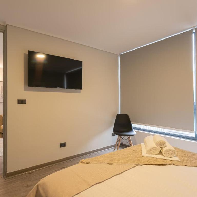 Explore the city from our Apartment - Apartamento - 16