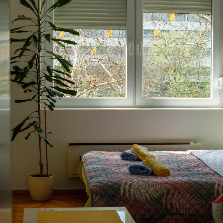 Apartman Klinički Centar Niš - Apartman s 1 Spavaćom Sobom i Terasom - 14