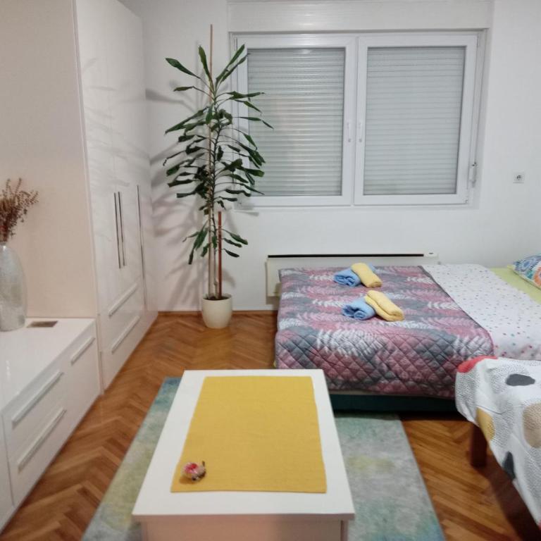 Apartman Klinički Centar Niš - Apartman s 1 Spavaćom Sobom i Terasom - 13
