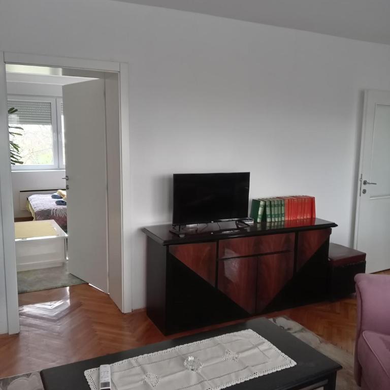 Apartman Klinički Centar Niš - Apartman s 1 Spavaćom Sobom i Terasom - 16