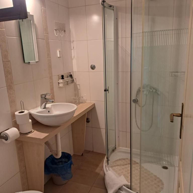 Salaš Đorđević - Dvokrevetna Soba sa Zasebnim Krevetima - 1