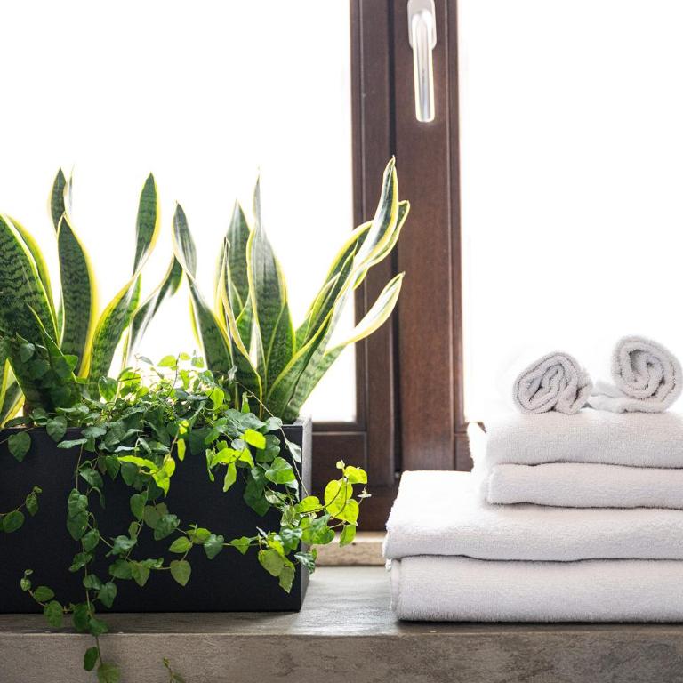 La Plaia Suites - Appartamento - 40