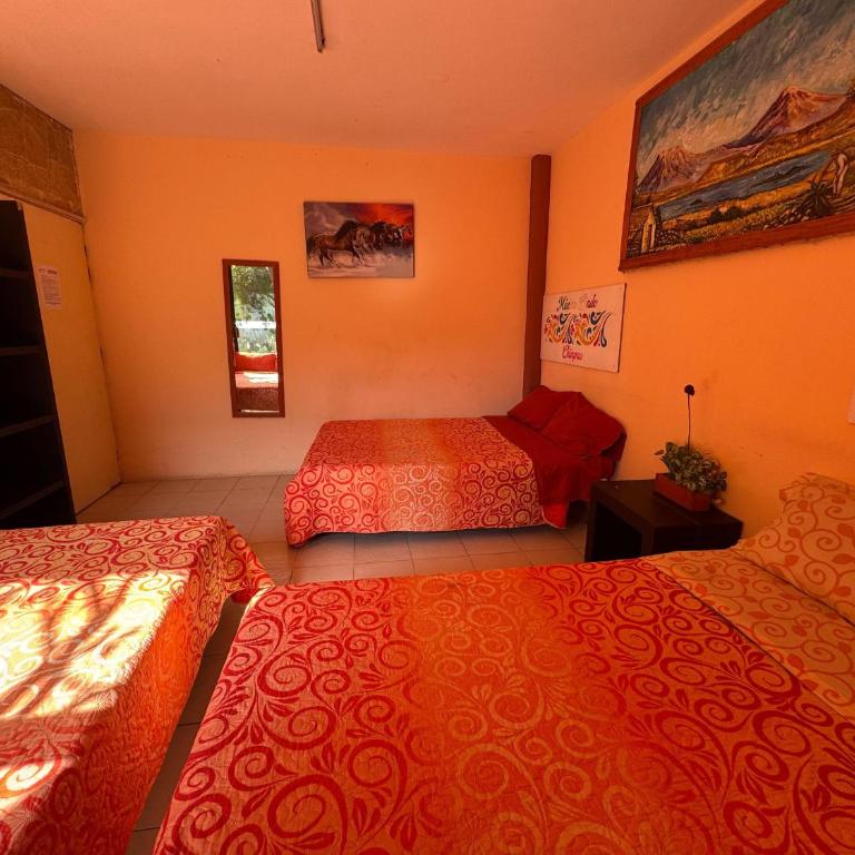México Lindo - Triple Room - 8
