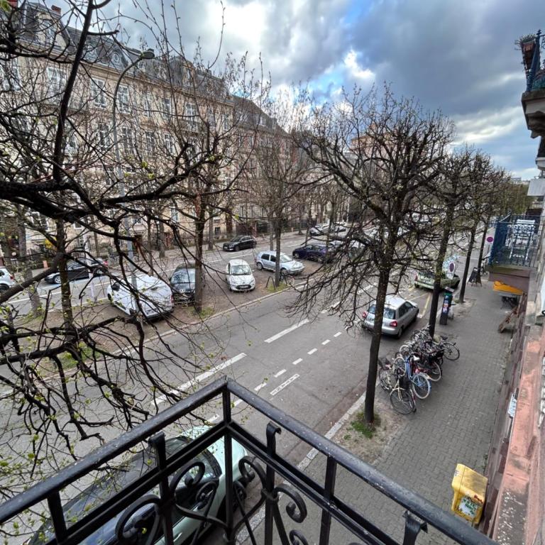 appartement spacieux en centre ville - Appartamento - 31