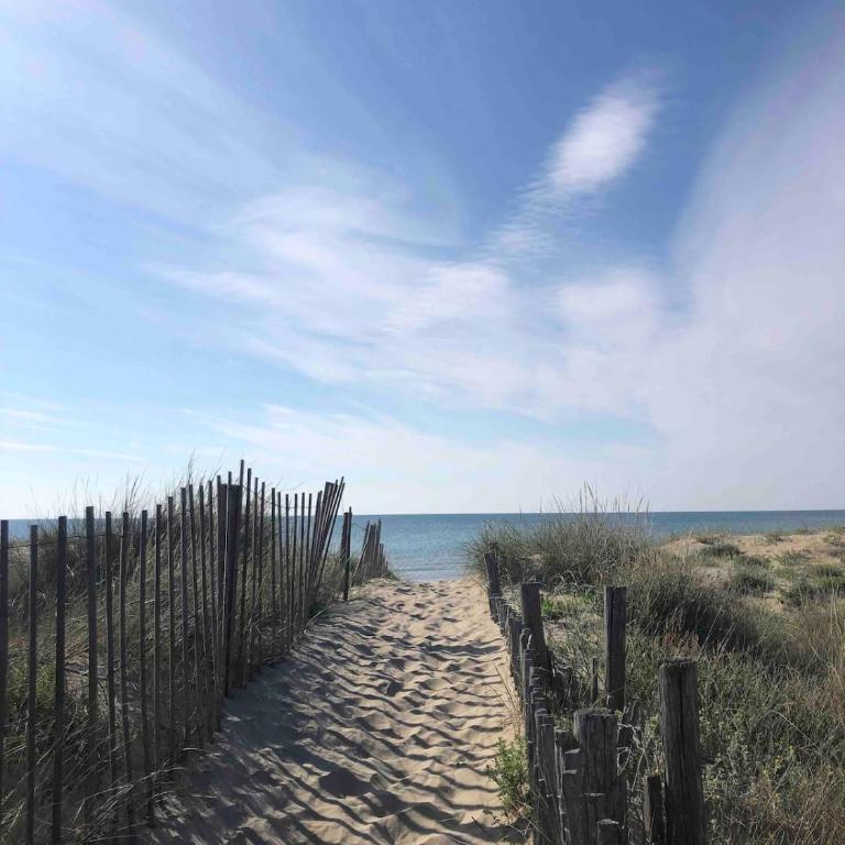 Appartement neuf à 100m de la plage - Appartement - 22