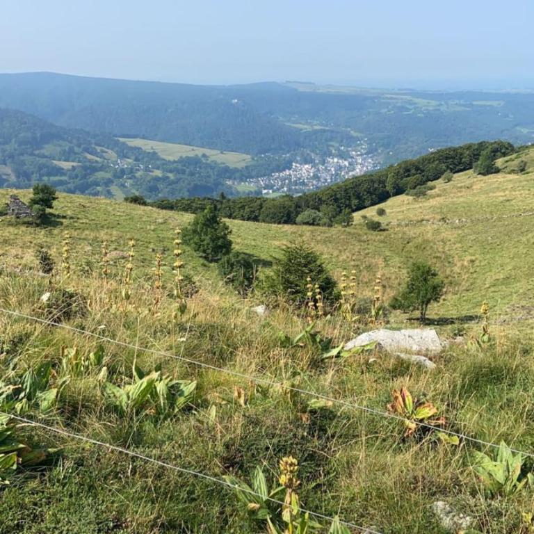 Appartement Lumineux et spacieux pour 5 Personnes au Mont-Dore - Villa Planet 1 - Apartment - 22