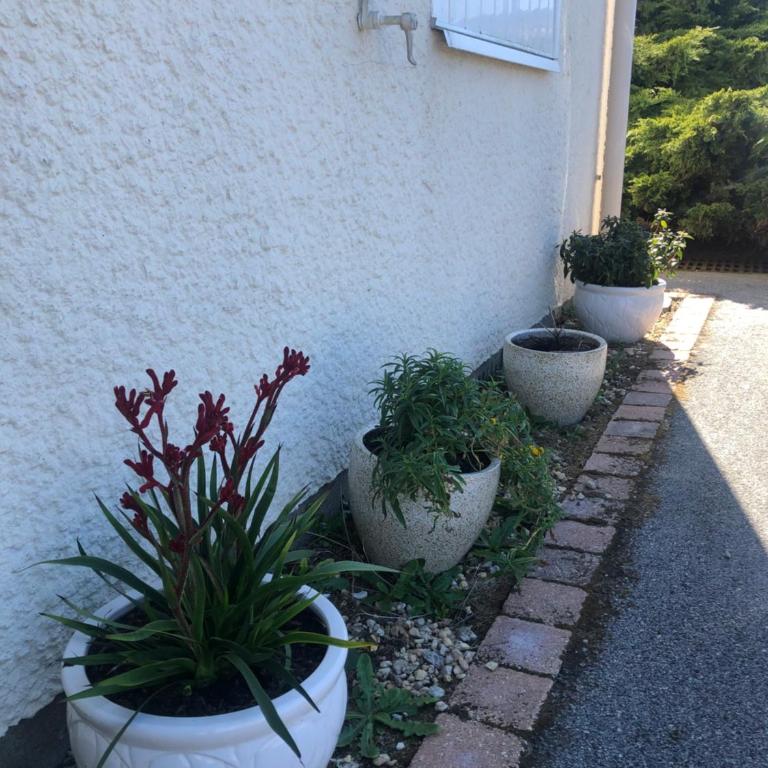 Arzon maisonnette proche plage Kerkarin - Appartement 1 Chambre - 12