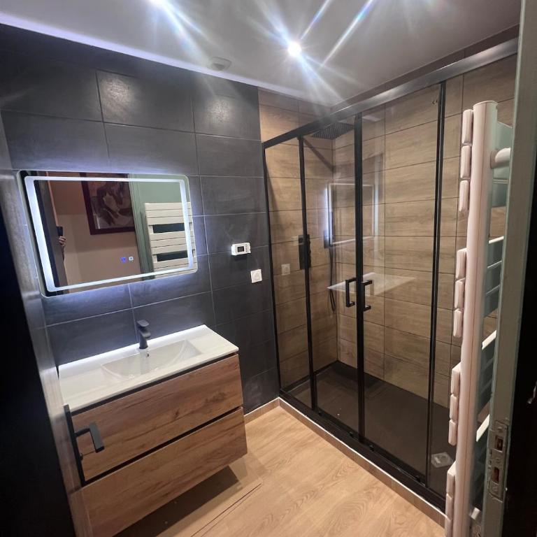 Patrimoine Albigeois 36 HDV DupleX - Superior Apartment - 28