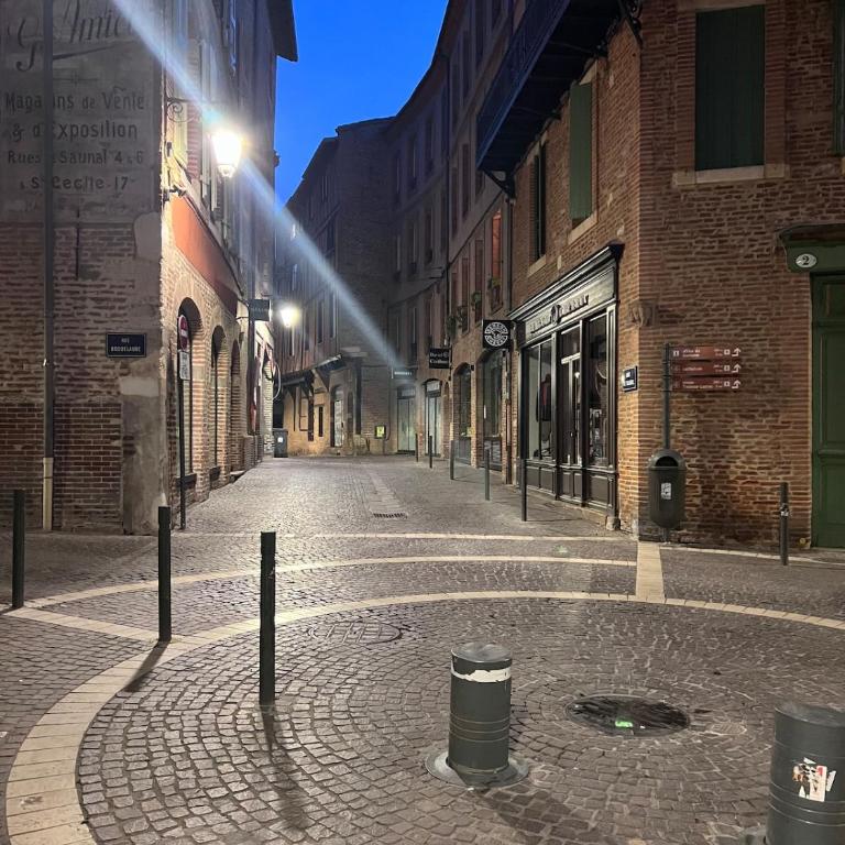 Patrimoine Albigeois 36 HDV DupleX - Superior Apartment - 14
