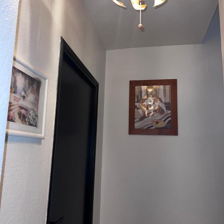 Patrimoine Albigeois 36 HDV DupleX - Superior Apartment - 17