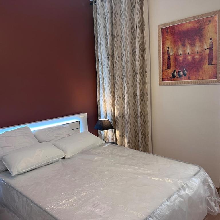 Patrimoine Albigeois 36 HDV DupleX - Superior Apartment - 19