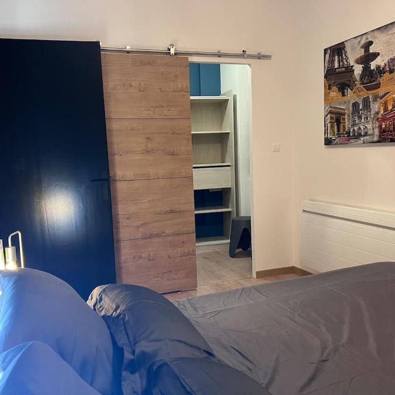 Patrimoine Albigeois 36 HDV DupleX - Superior Apartment - 21