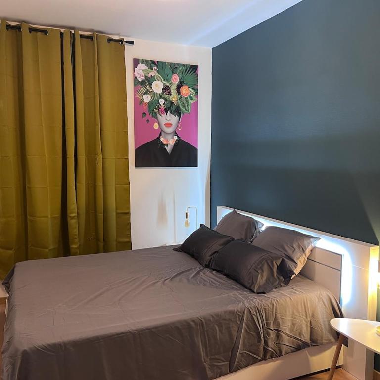 Patrimoine Albigeois 36 HDV DupleX - Superior Apartment - 26