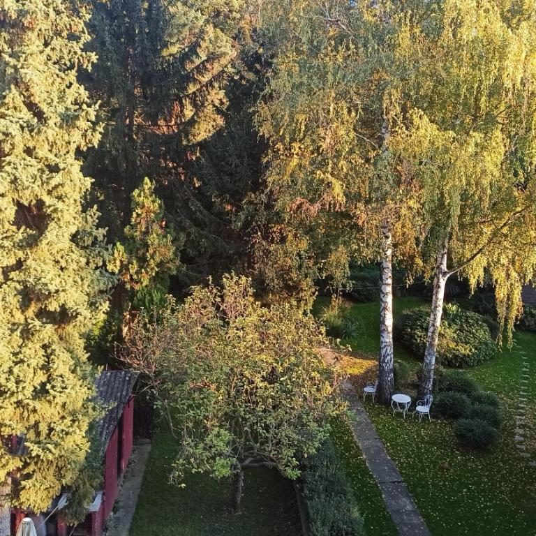 Apartman Oaza Olja - Apartman sa 1 Spavaćom Sobom - 18