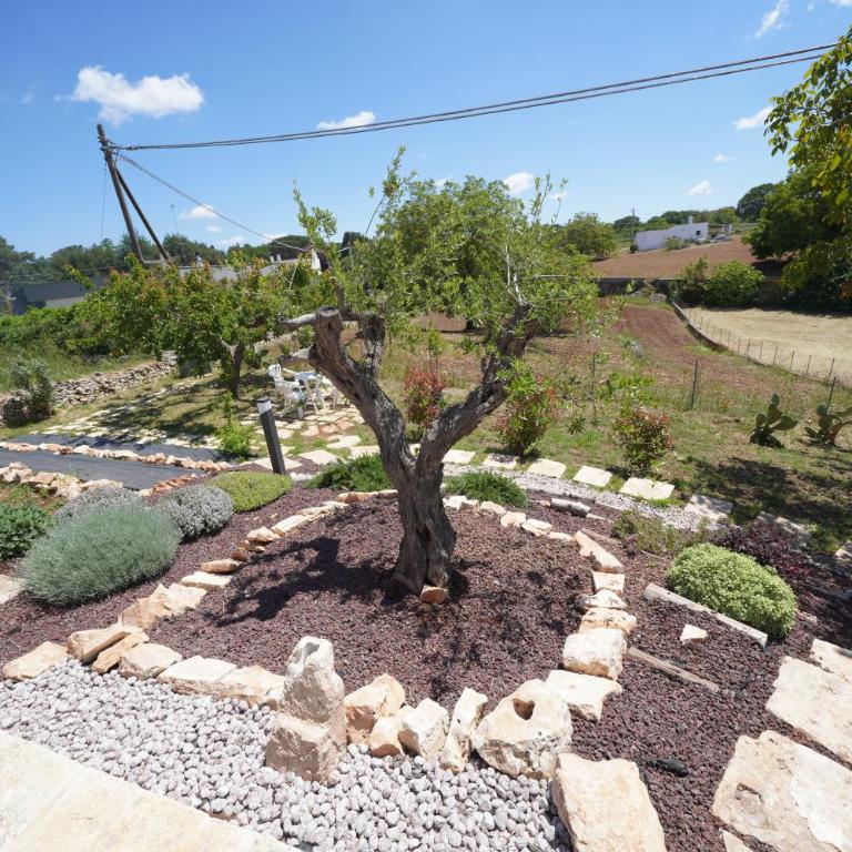Trullo Villa Tre Piantelle - Casa con 2 Camere da Letto - 43