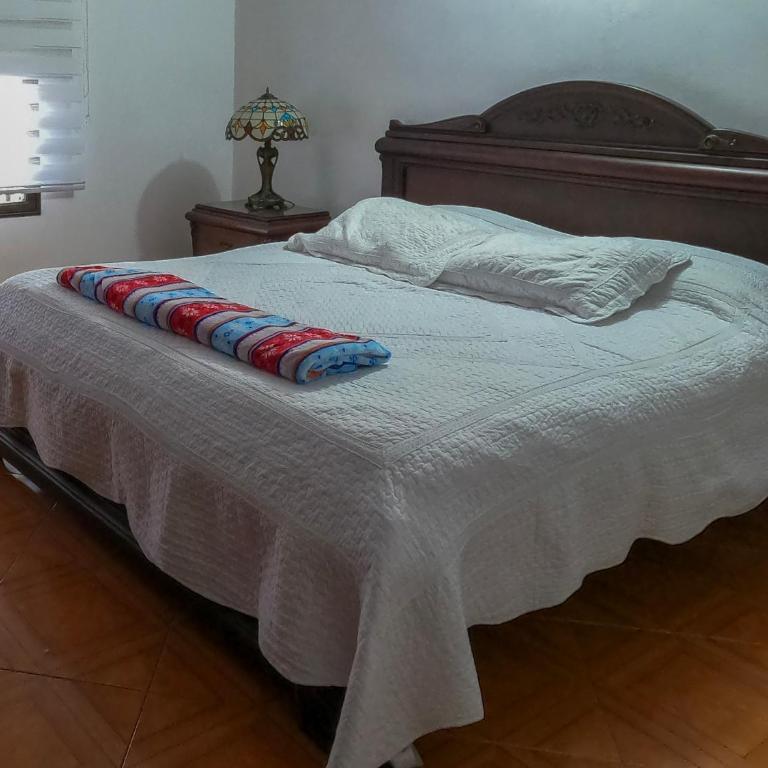 Central y enorme casa ideal para grupos y eventos en San Rafael - Apartamento - 69