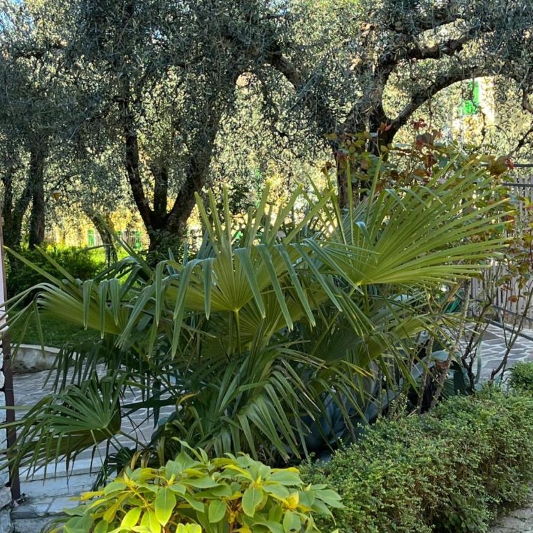 Casa Noario - Appartamento con 2 Camere da Letto e Vista Giardino - 10