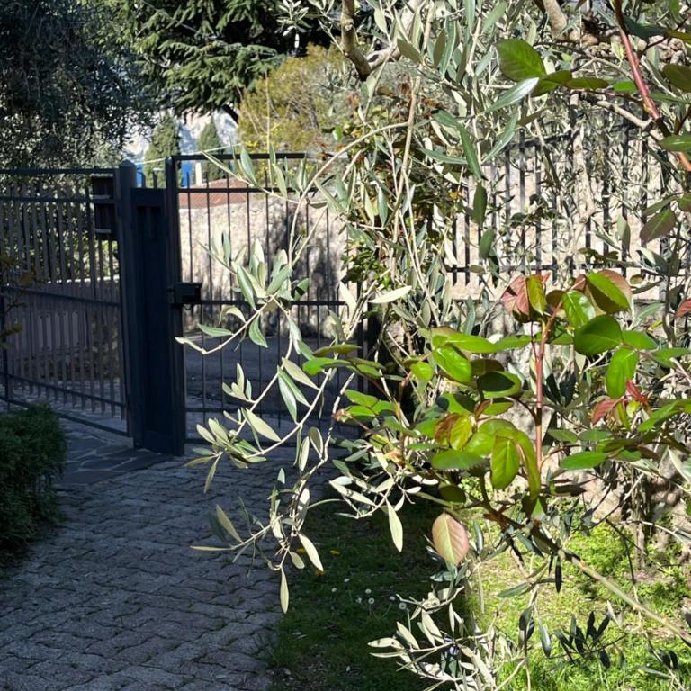 Casa Noario - Appartamento con 2 Camere da Letto e Vista Giardino - 9