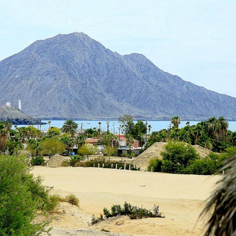 Ocotillo del Mar - Apartamento Estudio con cama grande - 13