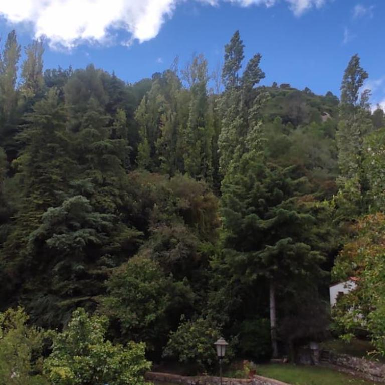 disfruta depto rodeado de montaña y naturaleza - Apartamento de 1 dormitorio - 12