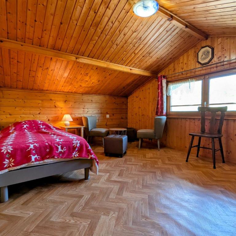 Chalet familial à La Bresse, proche randonnées, WIFI, animaux admis - FR-1-589-425 - Ferienhaus - 26