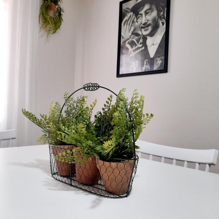 Barrio cívico - Apartamento de 1 dormitorio - 17