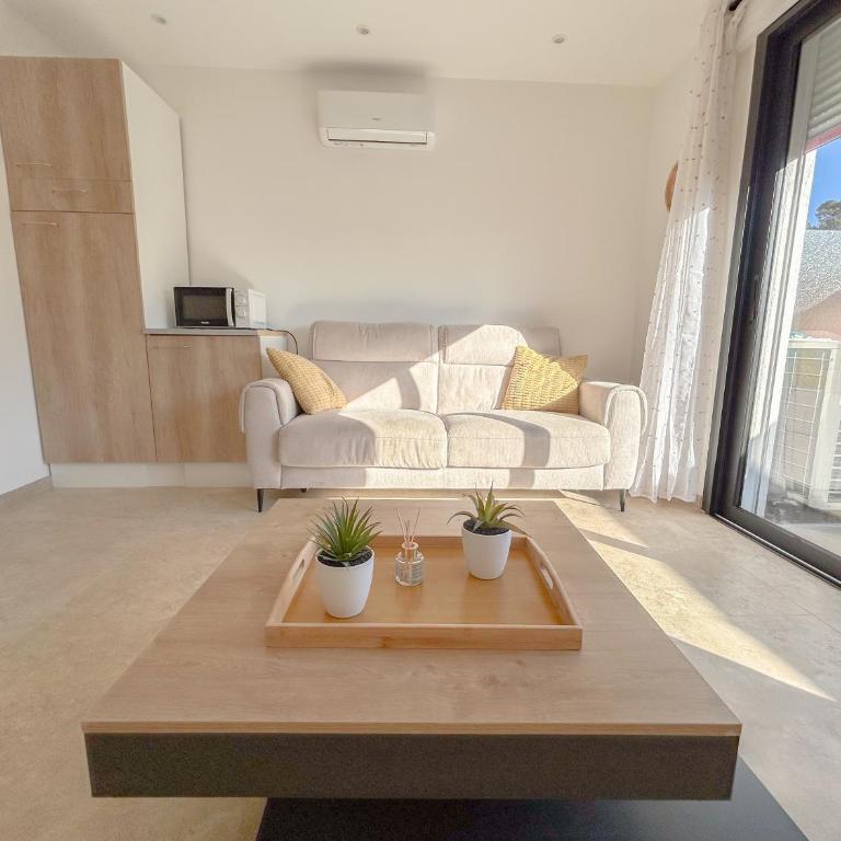 Centrale climatisée deux chambres terrasse parking, saint raphael - Apartment mit 2 Schlafzimmern - 2
