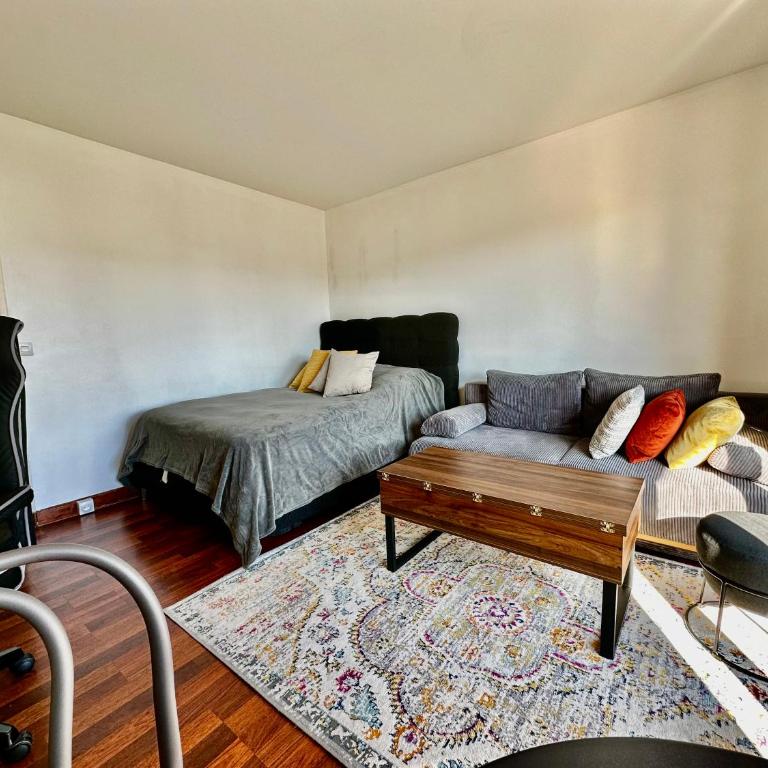 Charming Parisian apartment in the 15th arrondissement - Appartement 1 Chambre - 4