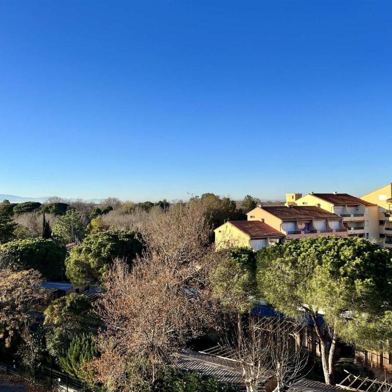 Appartement Studio 4 couchages ARGELES SUR MER AR850-118 - Apartment - 3